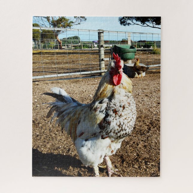 Galo Manchado Na Fazenda, Quebra-Cabeça (Vertical)