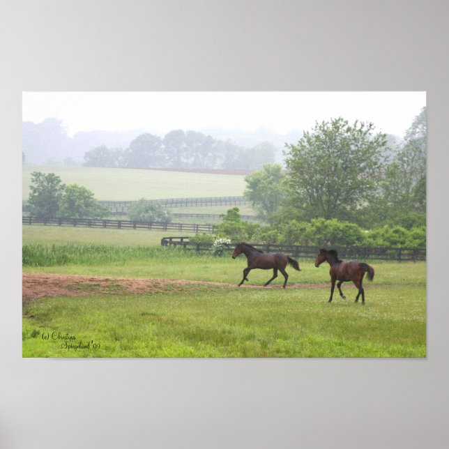 Galoping Cavalos-Padrão Poster (Frente)