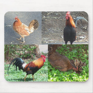 Galos e galinhas Mousepad