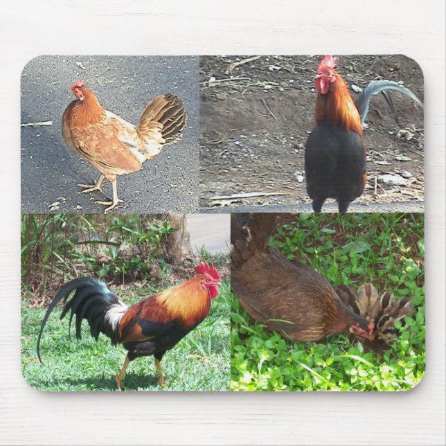 Galos e galinhas Mousepad (Frente)