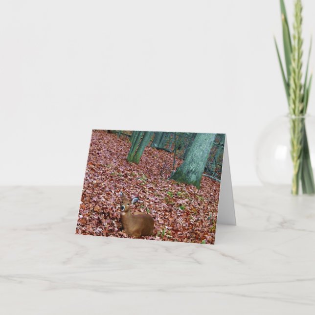 Gama do cartão de nota da floresta um cervo (Frente)