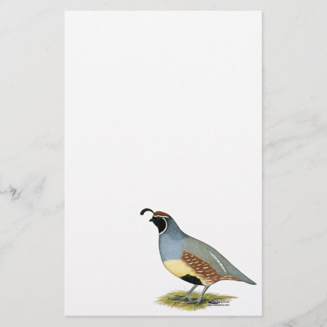 Gambel's Desert Quail (Frente)