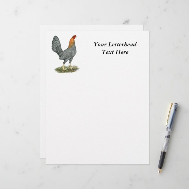 Game Hen Blue Red (Frente/Verso In Situ)