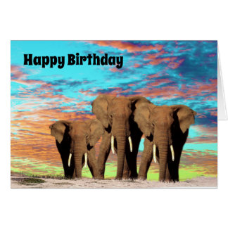 Gangue Elefante, Cartão de Aniversário