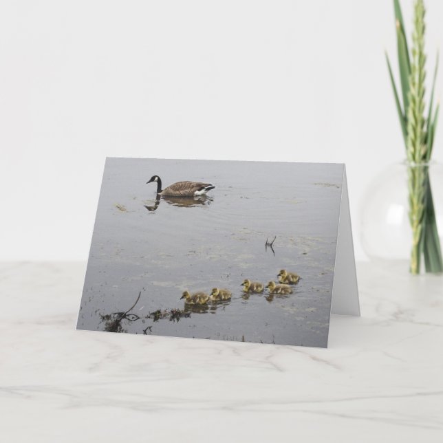 Ganso de mãe e cartão do dia das mães dos ganso (Frente)