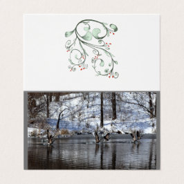 Gansos Levantando Água