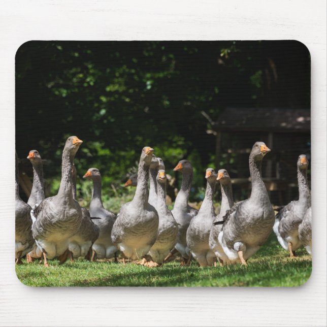 Gansos no mousepad de Dordogne (Frente)