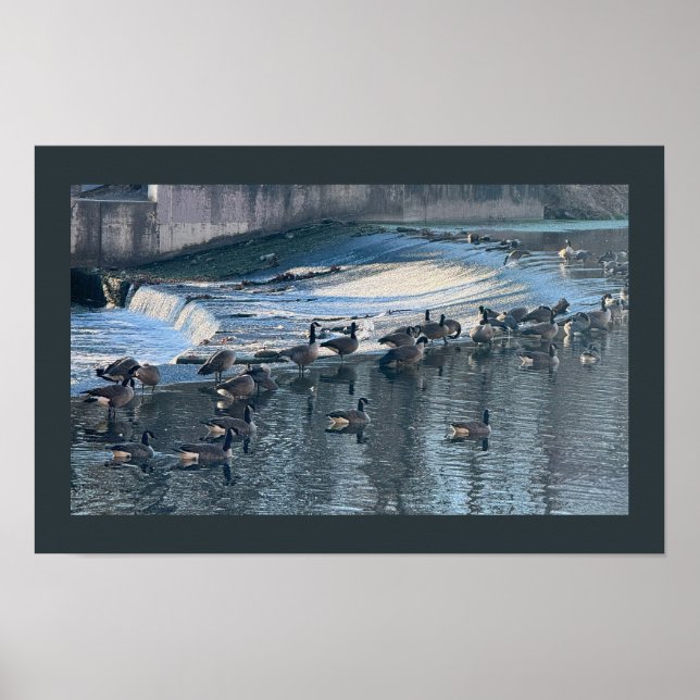 Gansos por Waterfall Photo Poster (Frente)