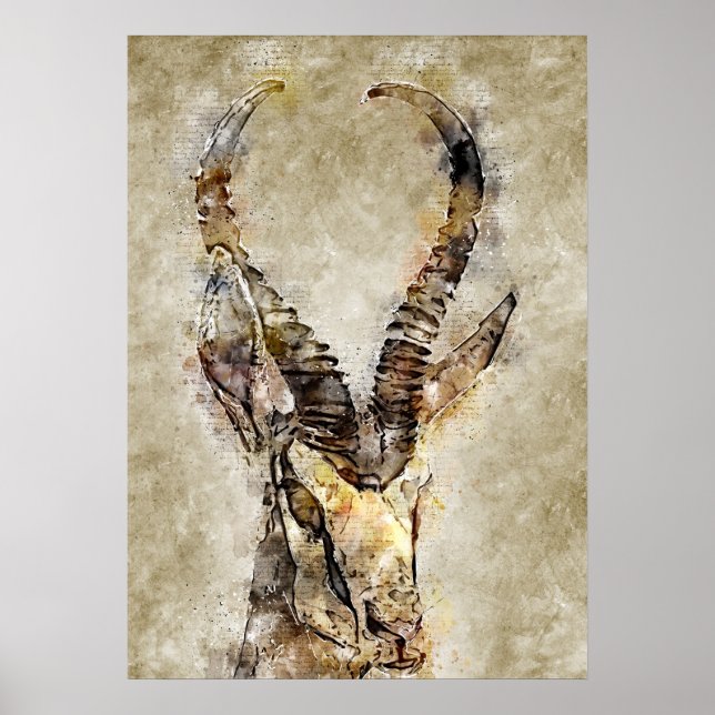 Gaqzelle Vintage Impressão Wall Art (Frente)