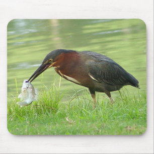 Garça-real verde com peixes Mousepad 2