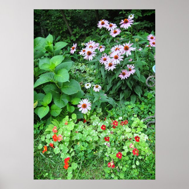 Garden Flowers Coneflower Nasturtium Poster (Frente)