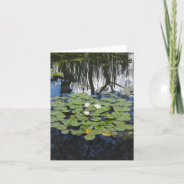 Garden Park Refletindo Lírios Dobrados Cartão de S
