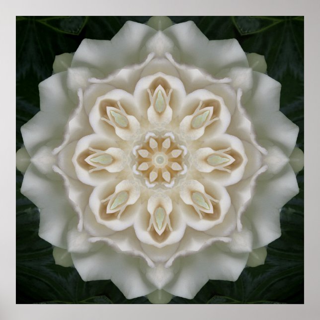 Gardenia Interior Glow Mandala Poster Impressão (Frente)