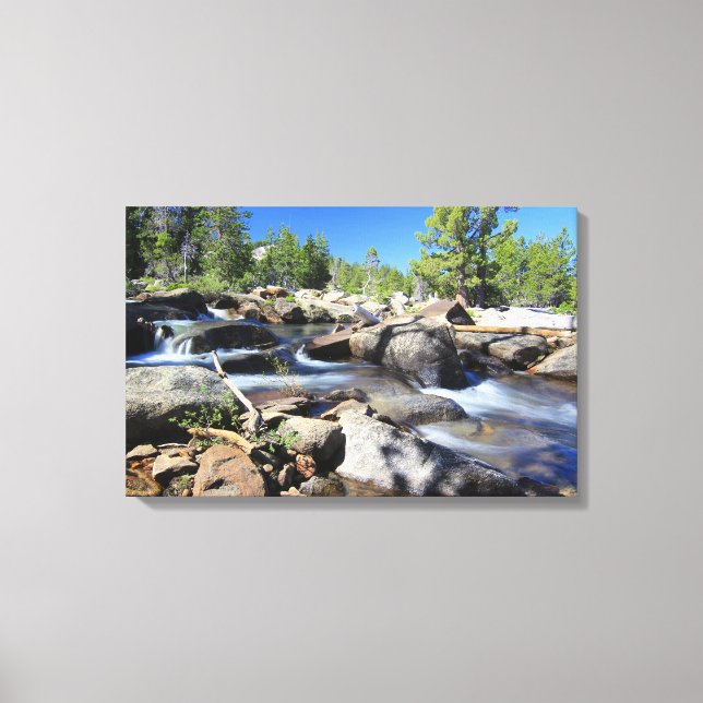 Garfo prateado do rio americano, Canvas (Frente)