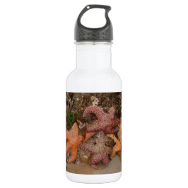 Garrafa A estrela do mar/estrelas de mar no canhão