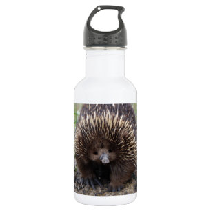 Garrafa Adorável Echidna Australiana