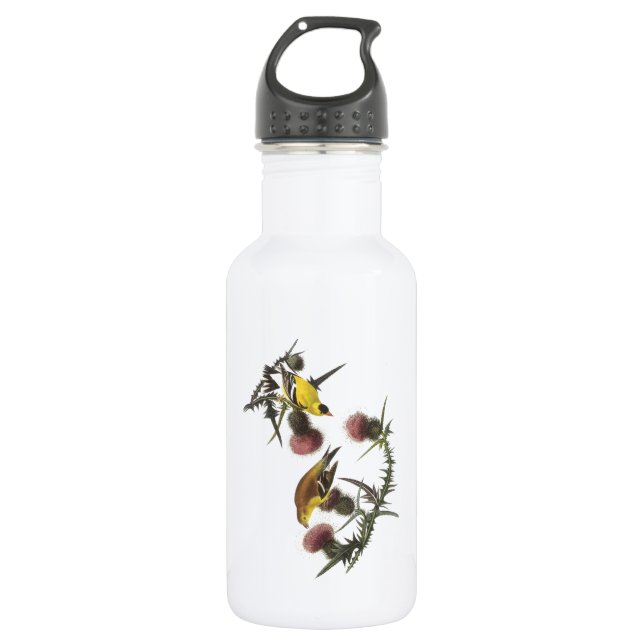 Garrafa American Goldfinch por Audubon (Frente)