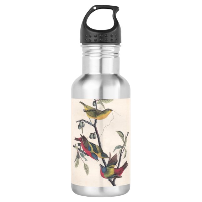 Garrafa Animais Selvagens de Aves Pintadas com Audubon (Frente)