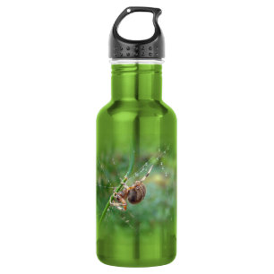 Garrafa Araneus - Aranha Tecelã