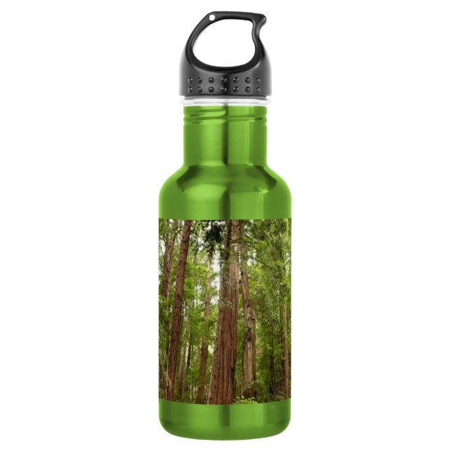 Garrafa Até às sequóias I em Muir Woods National Monument (Frente)