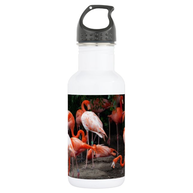 Garrafa Aves de Praia Tropicais Destino Flamingos (Frente)