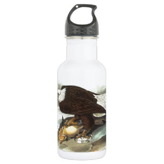 Garrafa Bald Eagle por Audubon