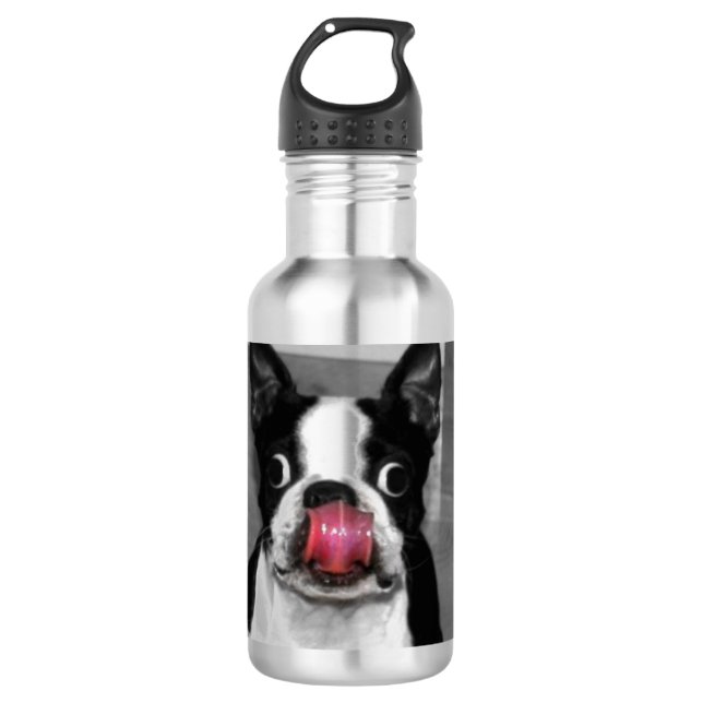 Garrafa Boston Terrier (Frente)