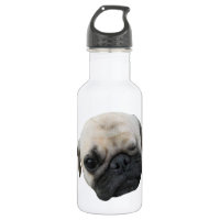 Cachorro Amigo Pug Cachorrinho ... かわいい 子犬