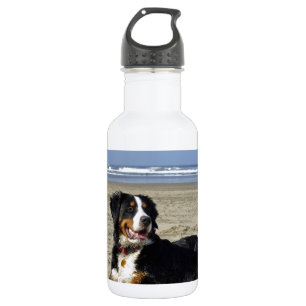 Garrafa Cachorro da Montanha Bernese
