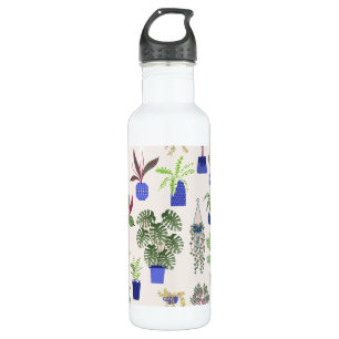 Garrafa Cactus Succullet HousePlant Link