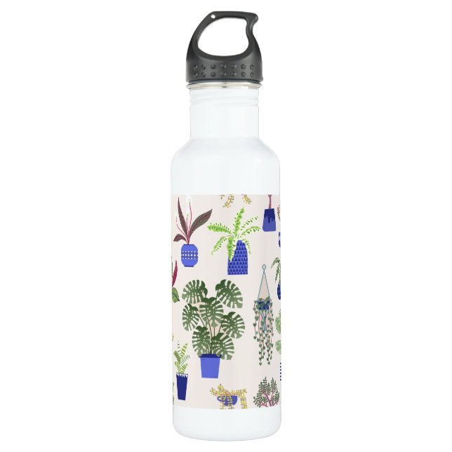 Garrafa Cactus Succullet HousePlant Link (Frente)