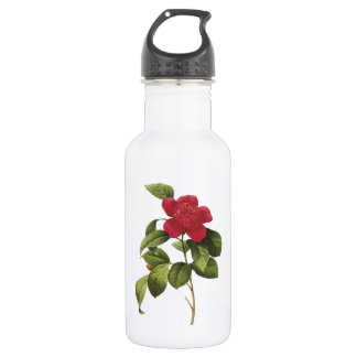 Garrafa camellia (Camellia anemonefolia) por Redouté