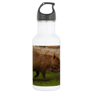 Garrafa capybara