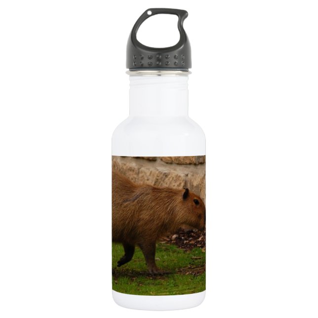 Garrafa capybara (Frente)