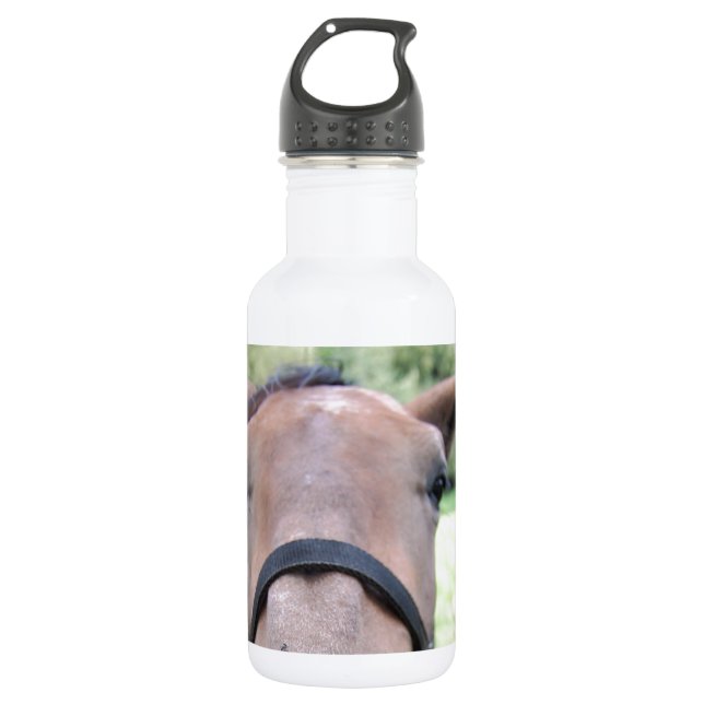 Garrafa Cara de cavalo (Frente)