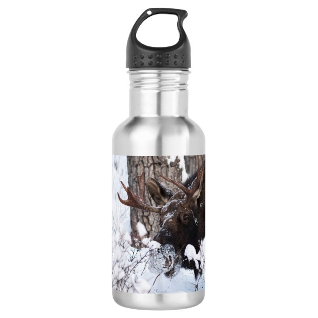 Garrafa Chilly Moose (Frente)