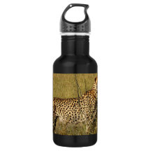 Chita africana selvagem em gramas do savana