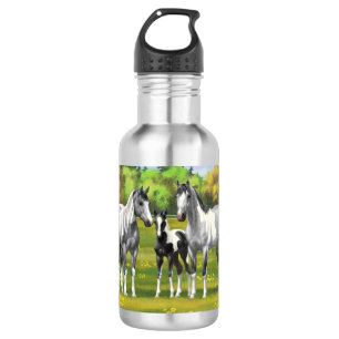 Garrafa Cinza De Maçã Em Cavalos De Tintas Em Pasto De Ver