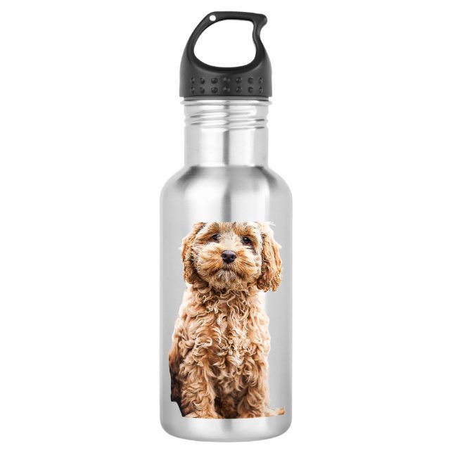 Garrafa Cockapoo Cavoodle Labradoodle Cãozinho Cachorro- P (Frente)