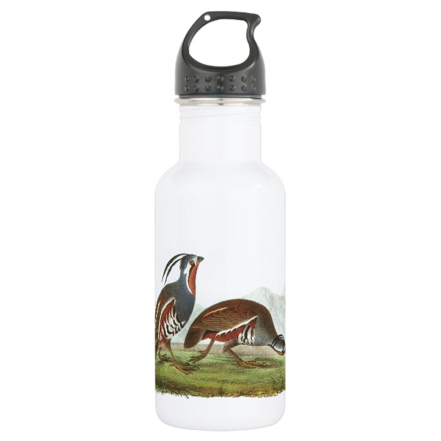 Garrafa Colisão de Montanha por Audubon (Frente)