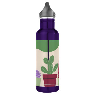 Garrafa Coloridos e cactus suculentos