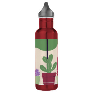 Garrafa Coloridos e cactus suculentos