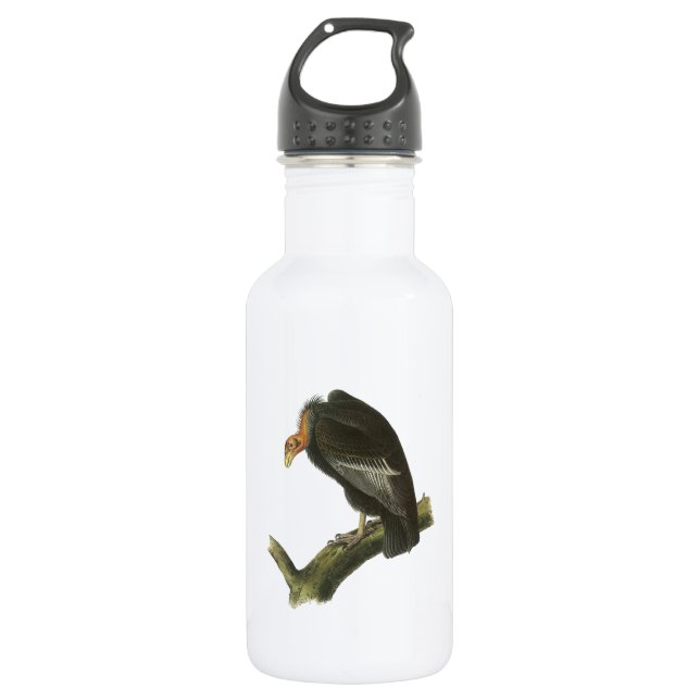 Garrafa Condor de Califórnia por Audubon (Frente)
