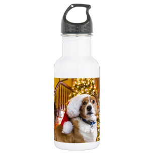 Garrafa Corgi do Natal