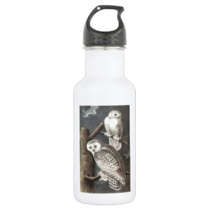 Garrafa Coruja nevado por Audubon