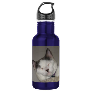 Garrafa Criar sua própria sesta do Lembrança-Gato do