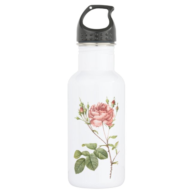 Garrafa Cumberland rosa por Redouté (Frente)