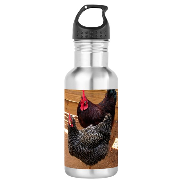 Garrafa de água de frango (Frente)