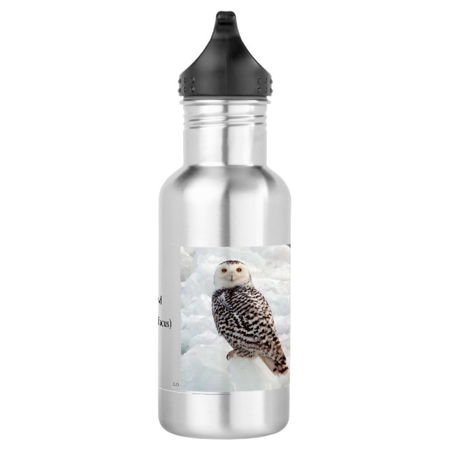 Garrafa de água Snowy Owl (Direita)