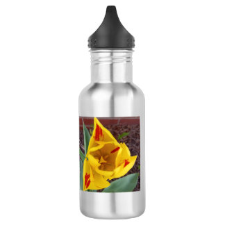 Garrafa de água Tulipa Amarela
